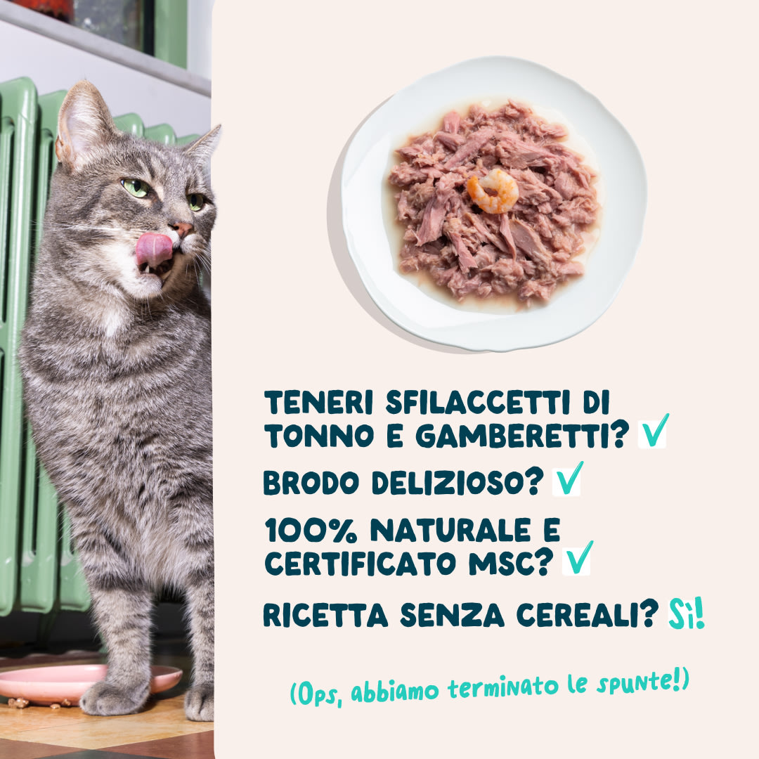 5 Cat-Fillets DTC IT TunaShrimp USPs