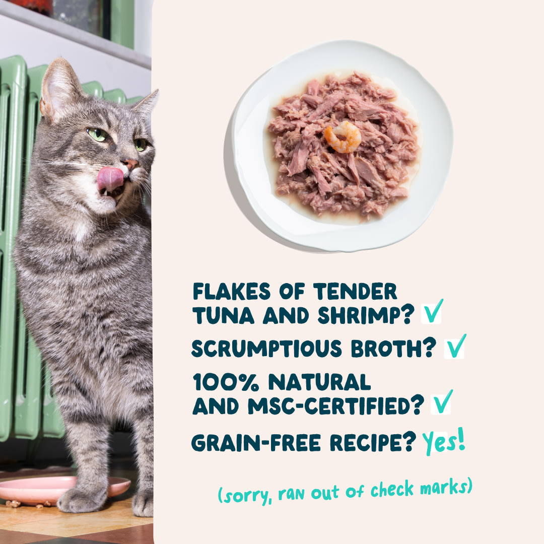 5 Cat-Fillets DTC EXP TunaShrimp USPs