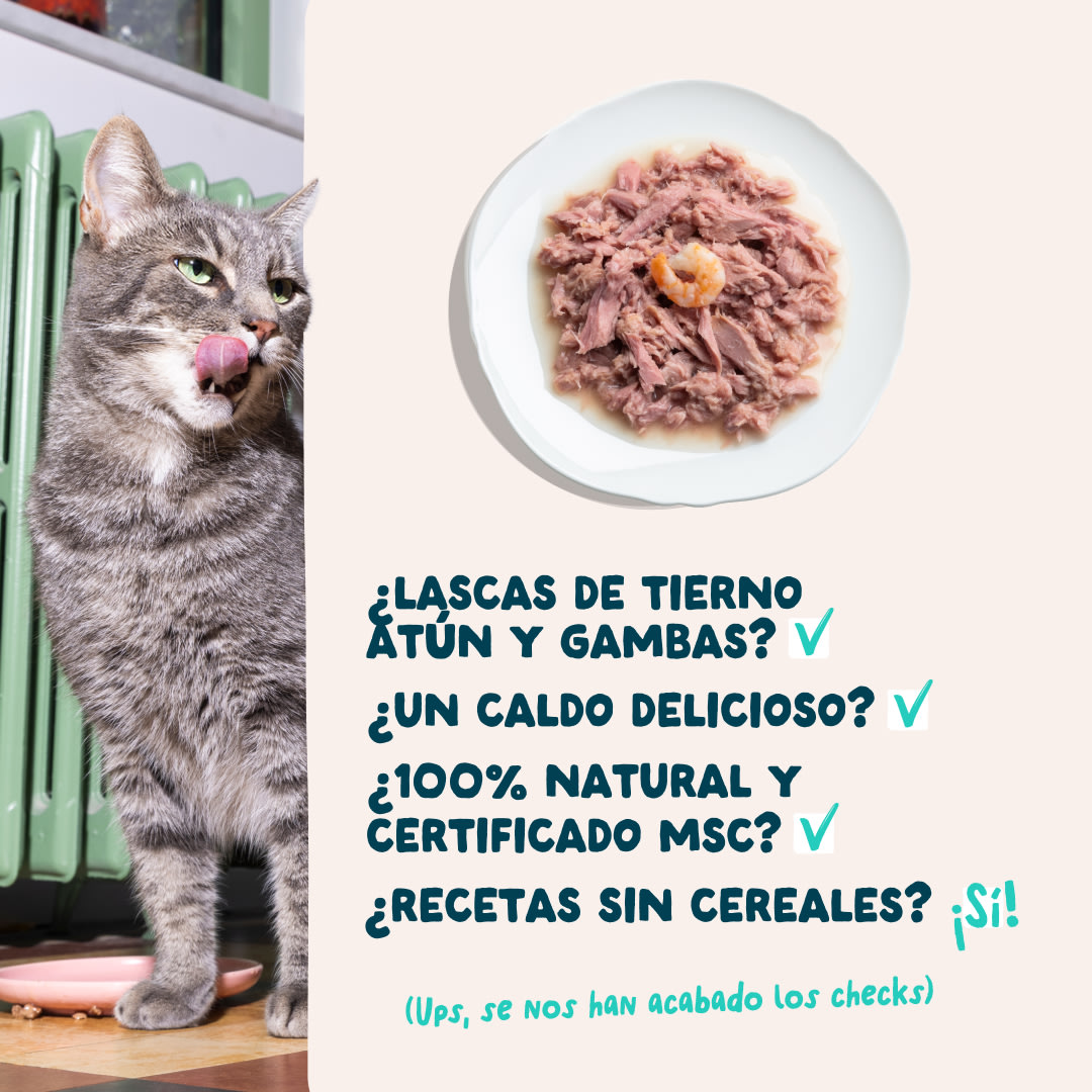 5 Cat-Fillets DTC ES TunaShrimp USPs