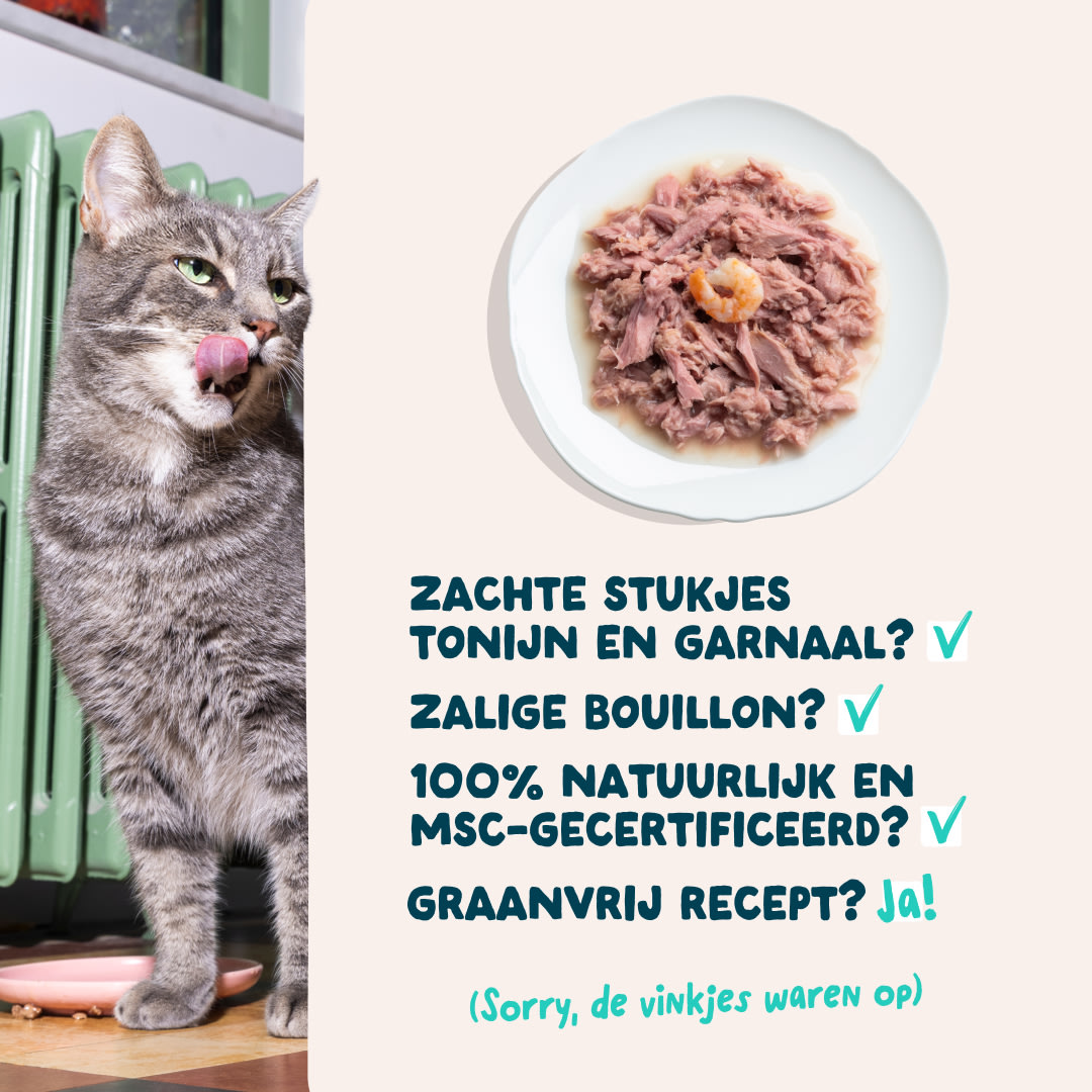 5 Cat-Fillets DTC NL TunaShrimp USPs