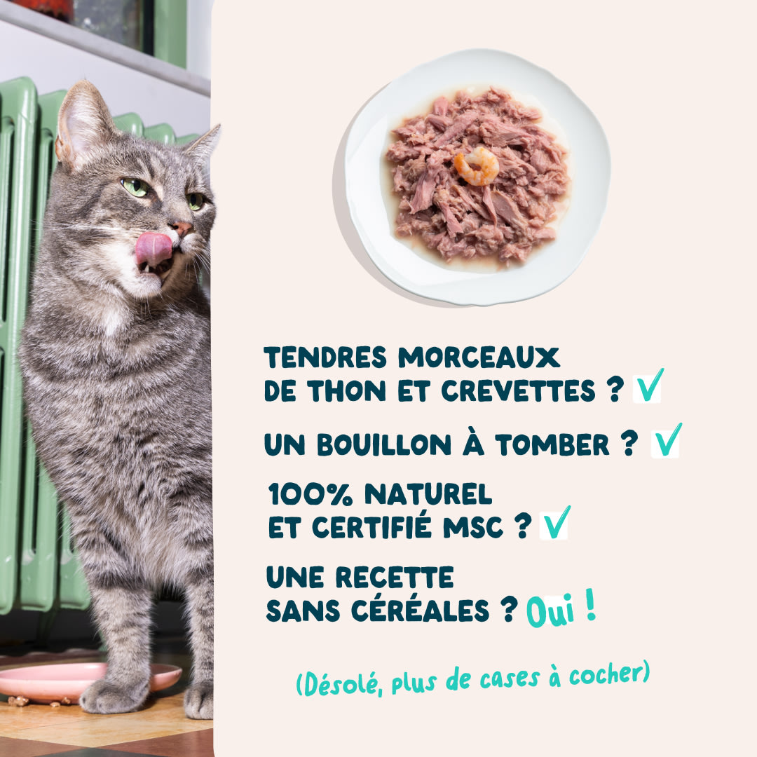 5 Cat-Fillets DTC FR TunaShrimp USPs