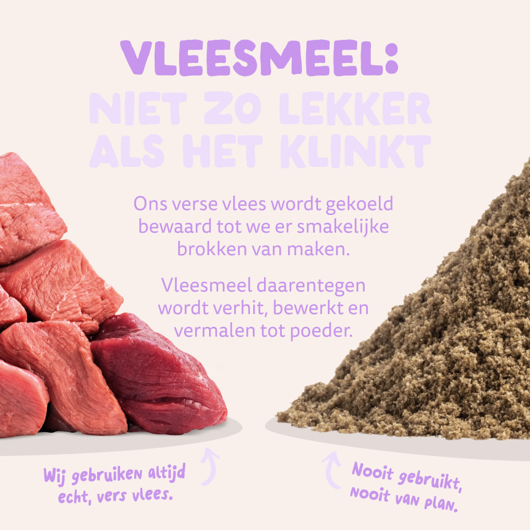 11 Dog-Refresh DTC-Assets NL Adult-Duck MEAT-VS-MEAT MEAL