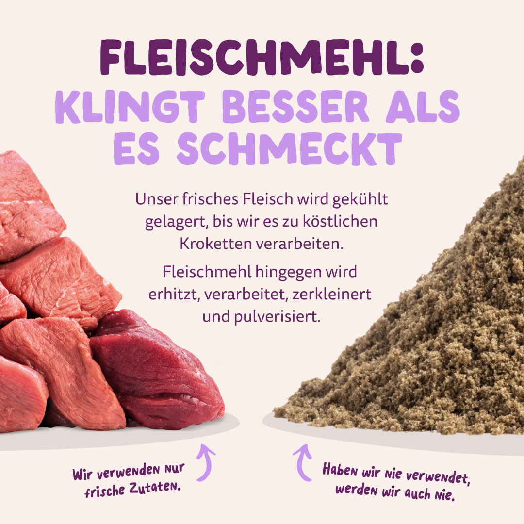 11 Dog-Refresh DTC-Assets DE Adult-Duck MEAT-VS-MEAT MEAL