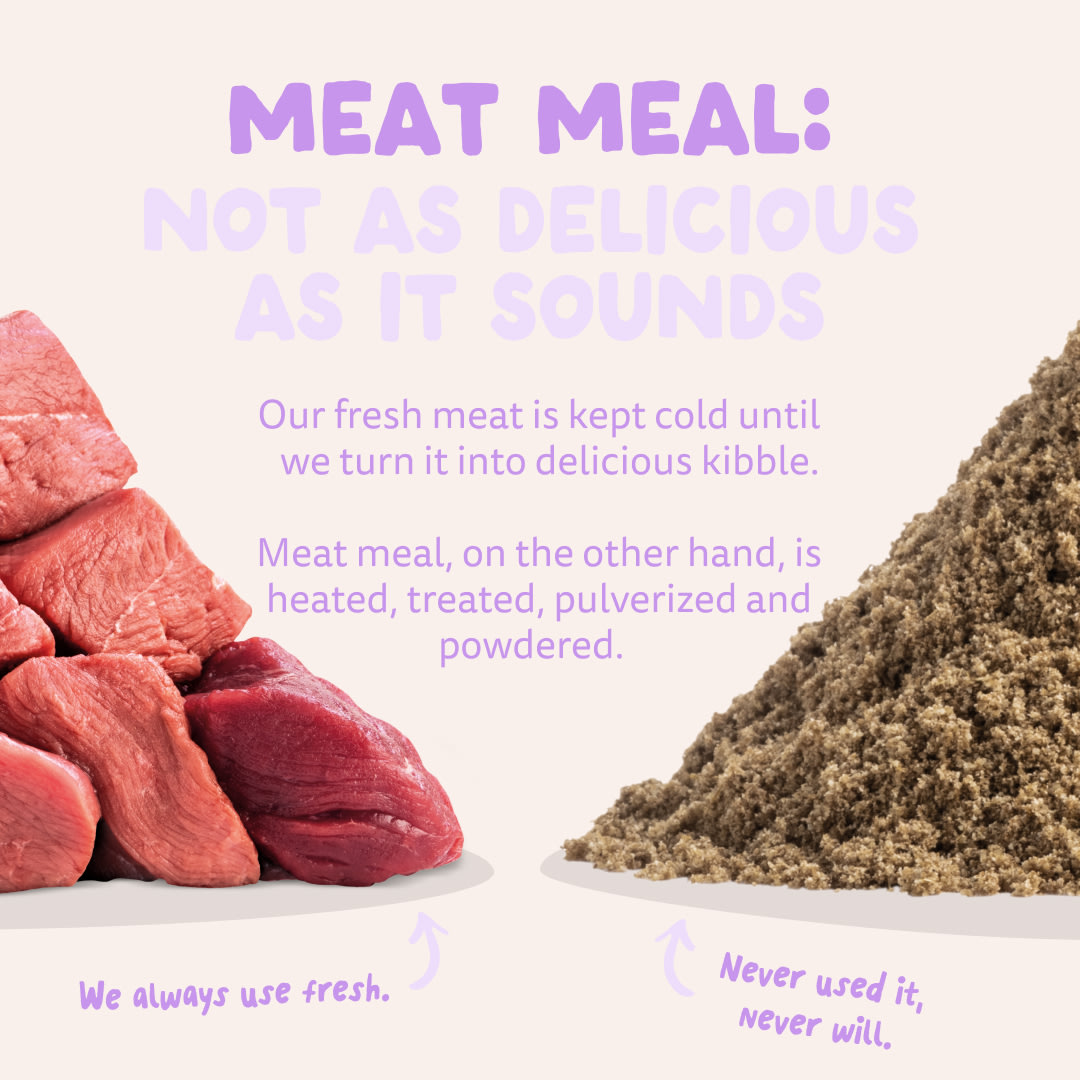 11 Dog-Refresh DTC-Assets EN Adult-Duck MEAT-VS-MEAT MEAL