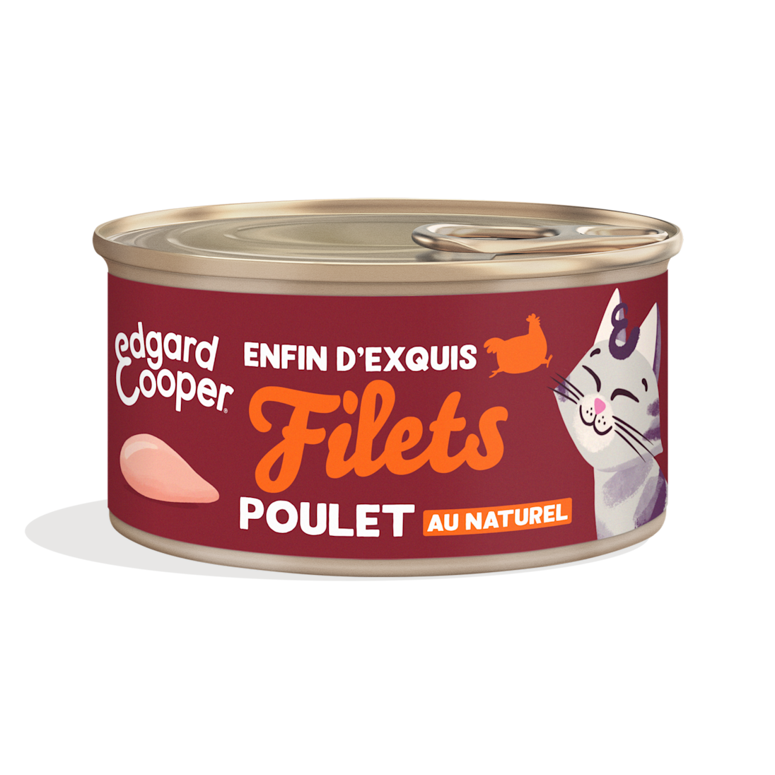DTC Cat Fillets Chicken Natural FR