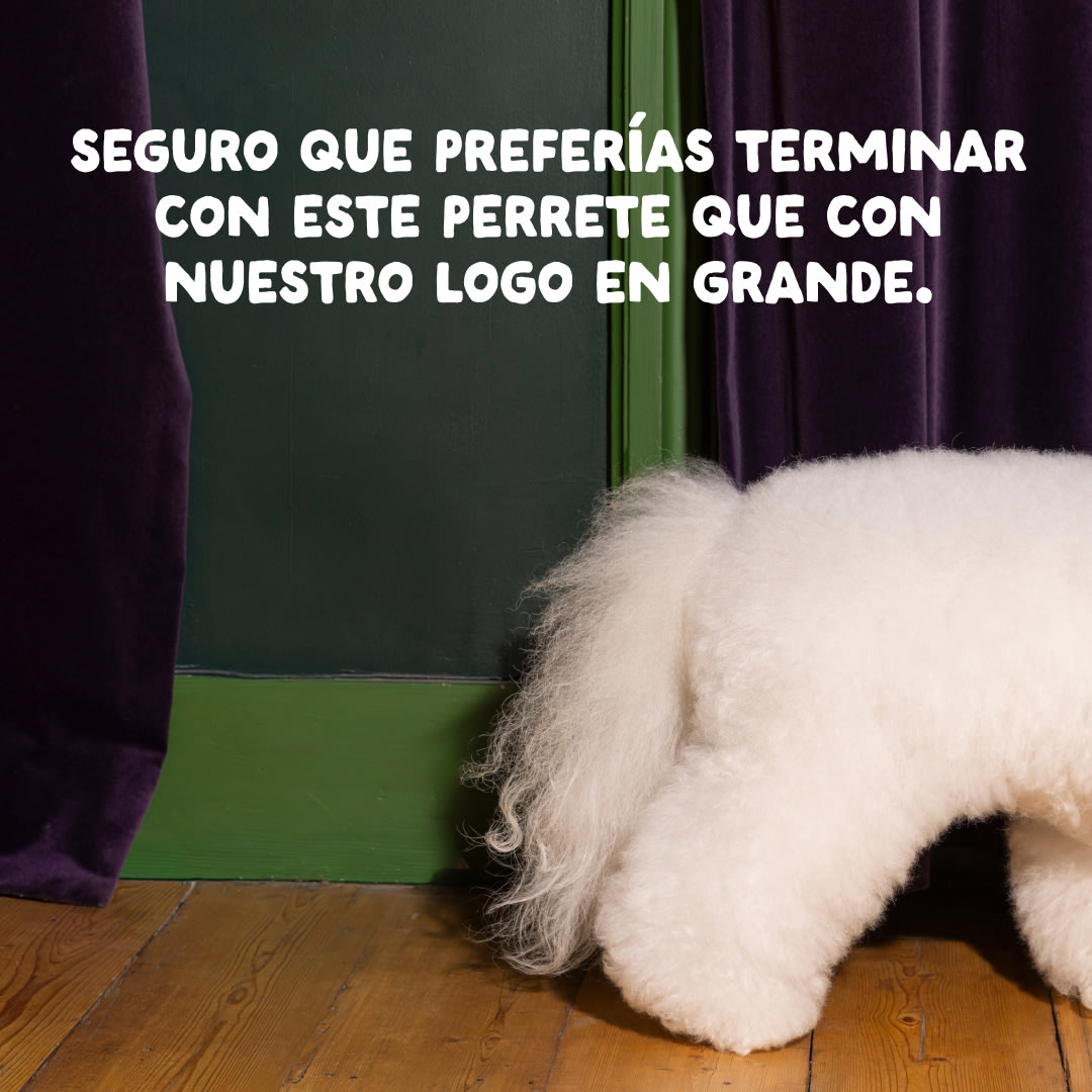 13 Dog-Refresh DTC-Assets ES Adult-Chicken CLOSE