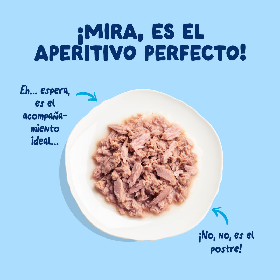 4 Cat-Fillets DTC ES TunaNatural TopView