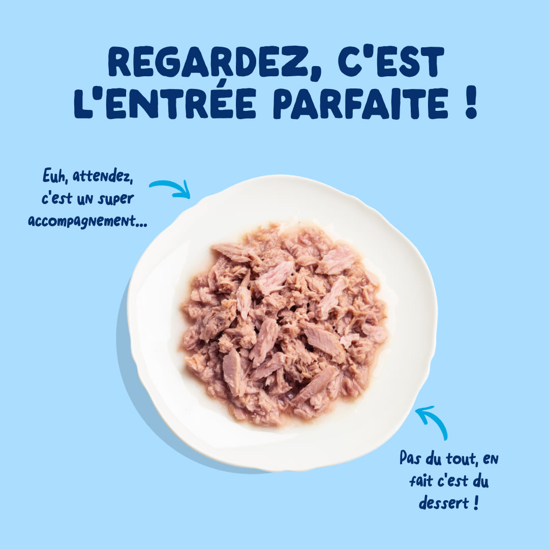 4 Cat-Fillets DTC FR TunaNatural TopView
