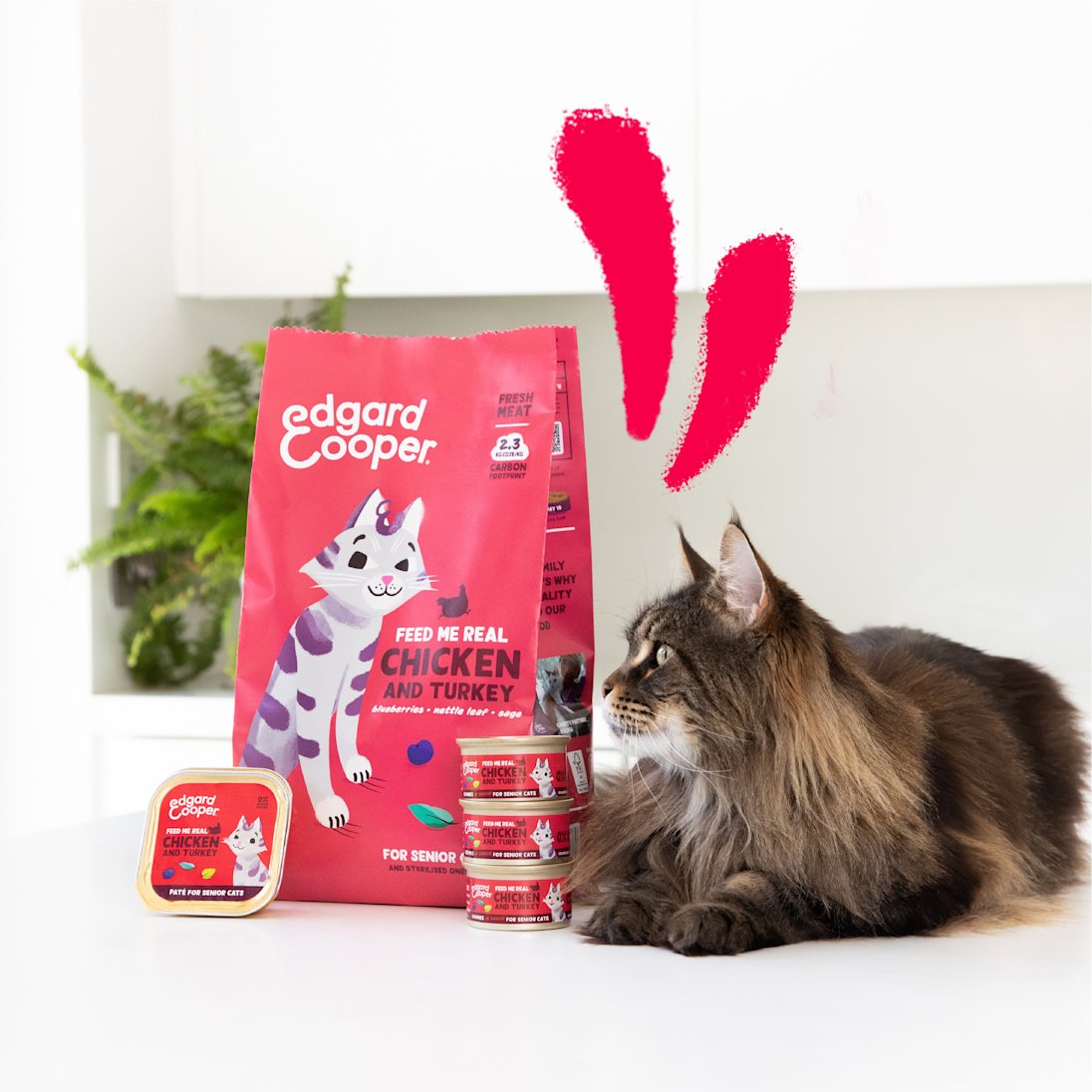 GRAU - het origineel - Natvoer voor katten - puur kalkoen (zakje), 16-pack (16 x 125 g), monoproteïne, voor volwassen katten