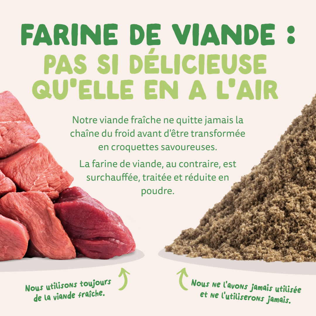11 Dog-Refresh DTC-Assets FR Adult-Lamb MEAT-VS-MEAT MEAL