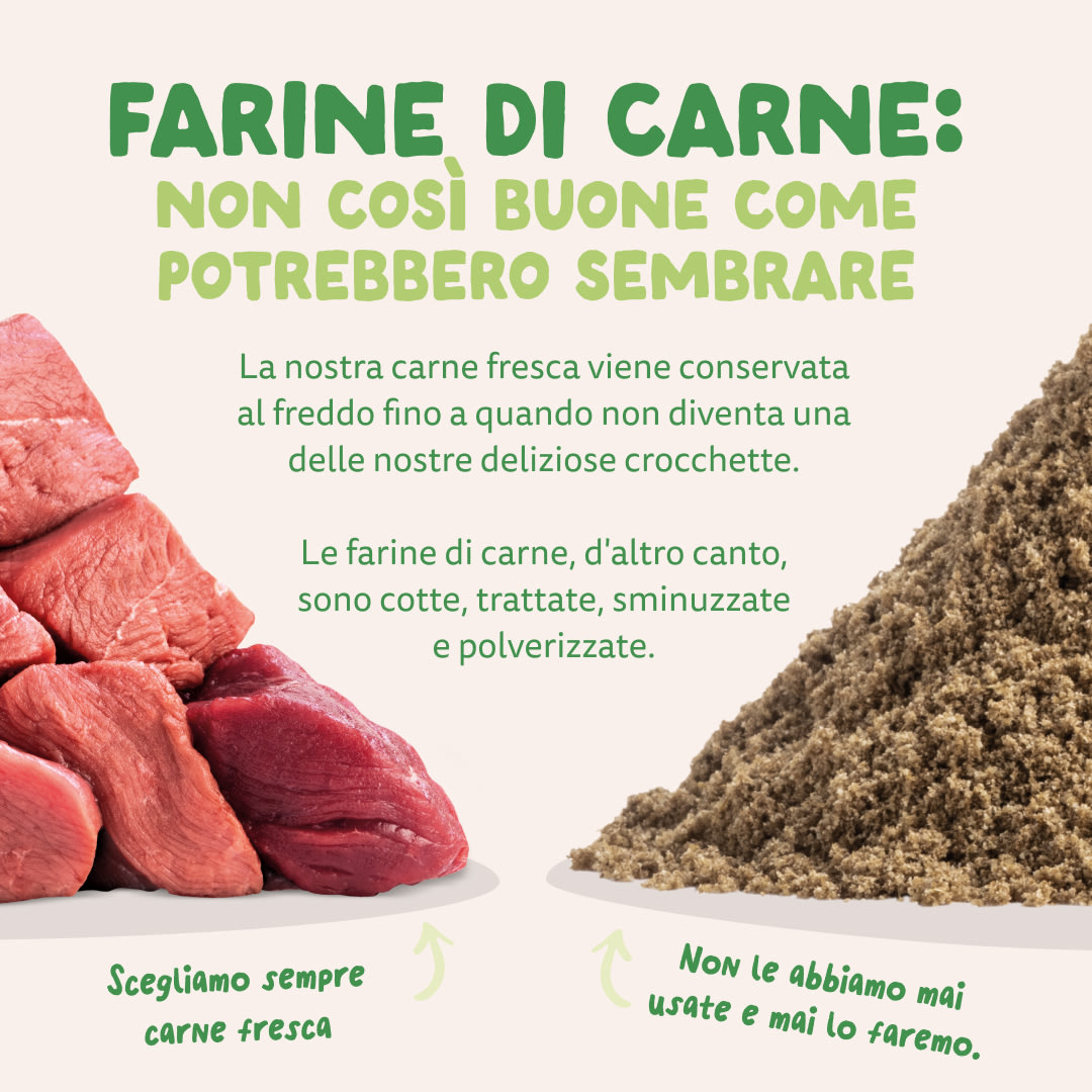 11 Dog-Refresh DTC-Assets IT Adult-Lamb MEAT-VS-MEAT MEAL