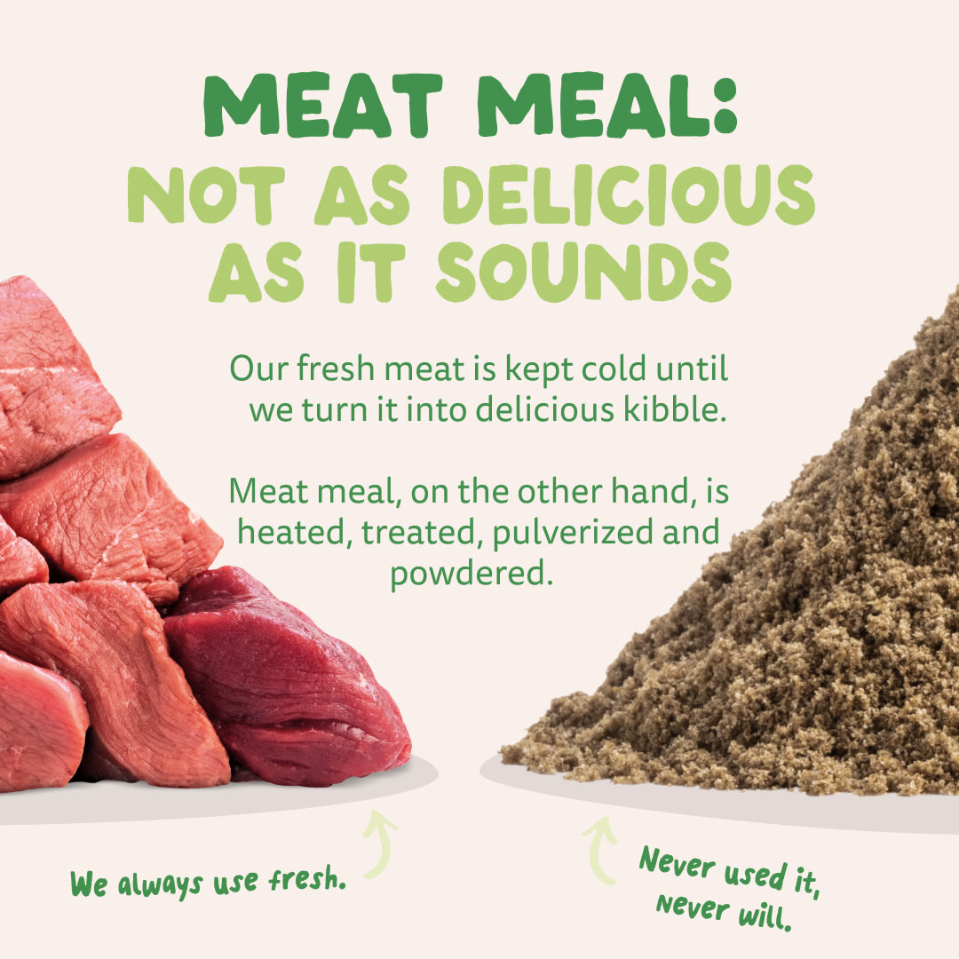 11 Dog-Refresh DTC-Assets EN Adult-Lamb MEAT-VS-MEAT MEAL