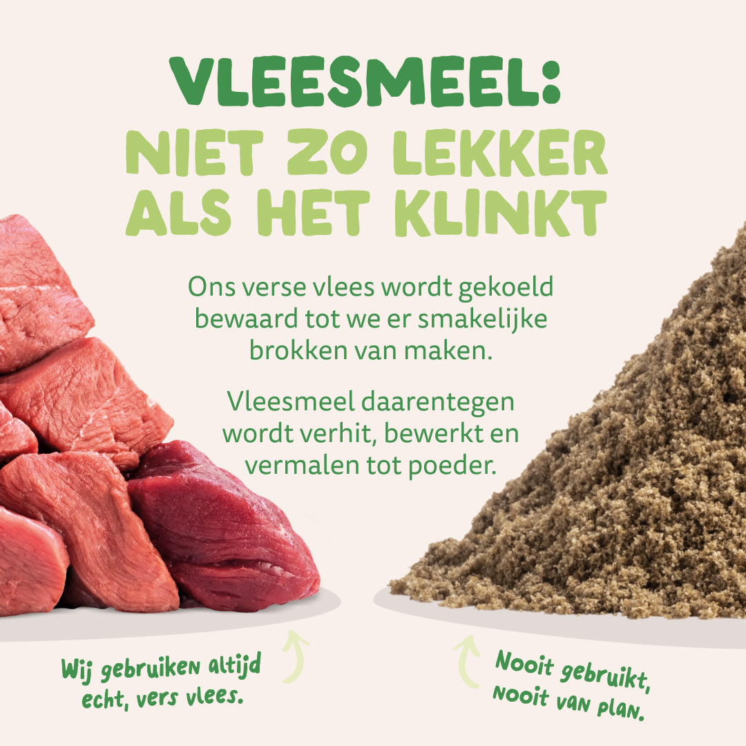 11 Dog-Refresh DTC-Assets NL Adult-Lamb MEAT-VS-MEAT MEAL