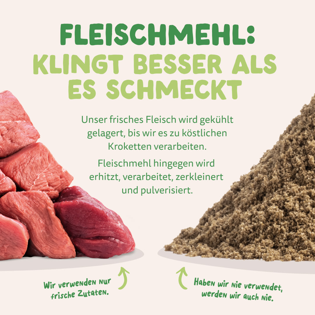 11 Dog-Refresh DTC-Assets DE Adult-Lamb MEAT-VS-MEAT MEAL