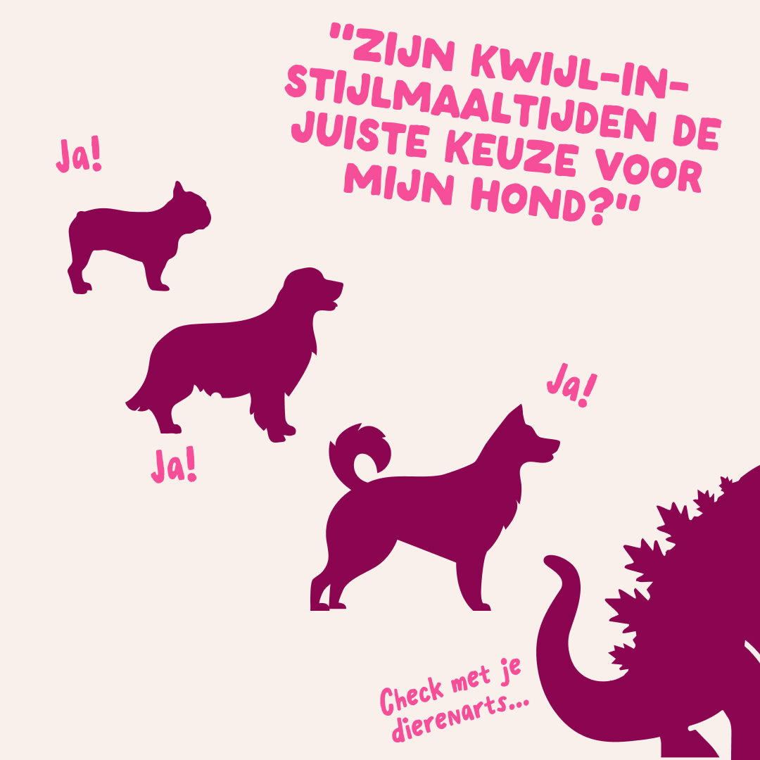 8 DWD D2C NL Multipack Size