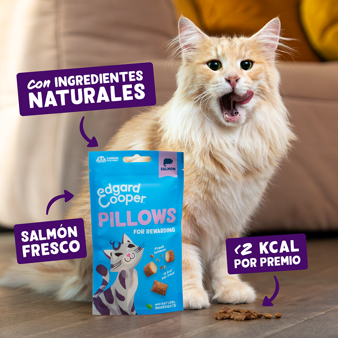 Ecomm Claims - Cat All Pillows Salmon ES