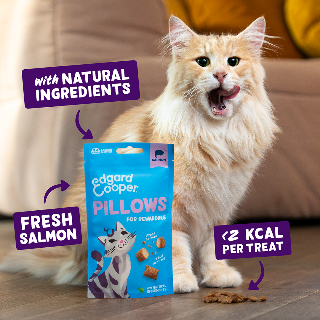Ecomm Claims - Cat All Pillows Salmon EN