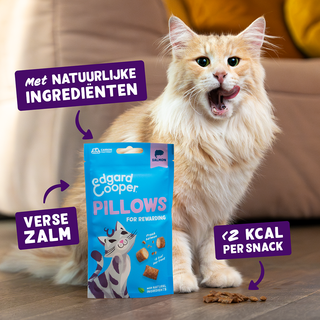 Ecomm Claims - Cat All Pillows Salmon NL