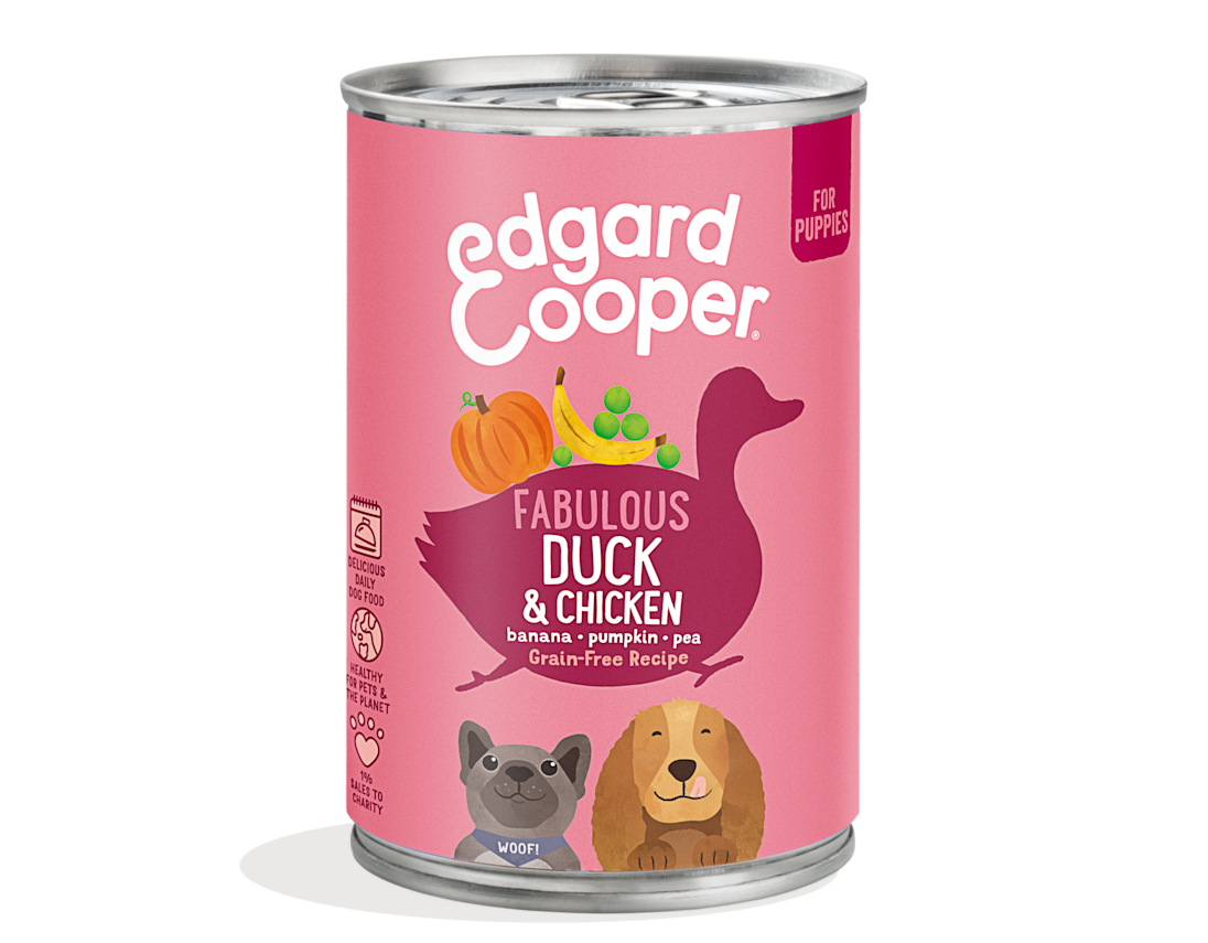 Pack - Dog Junior Paté Tin Duck Chicken EN