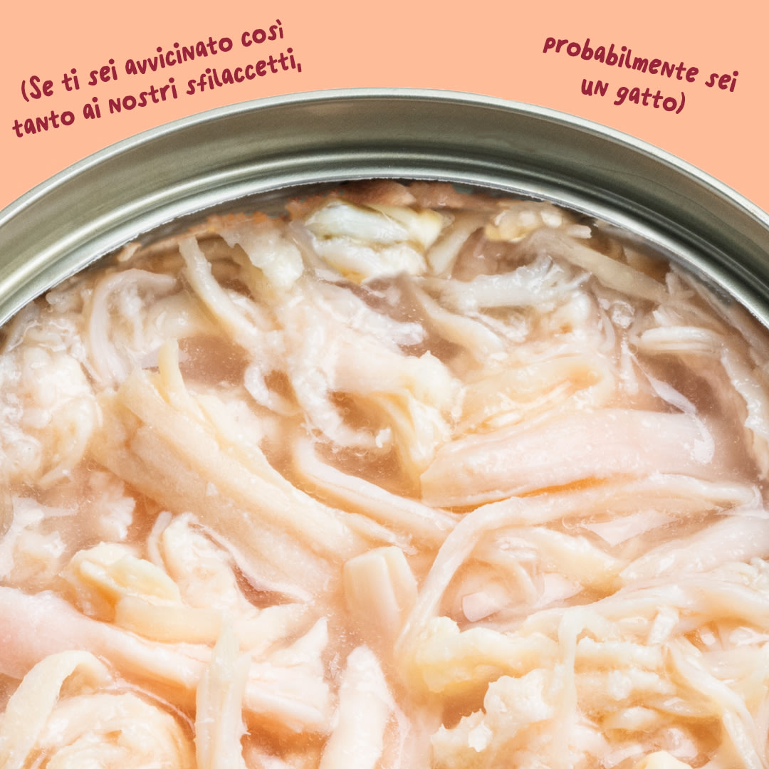 6 Cat-Fillets DTC IT ChickenNatural Texture