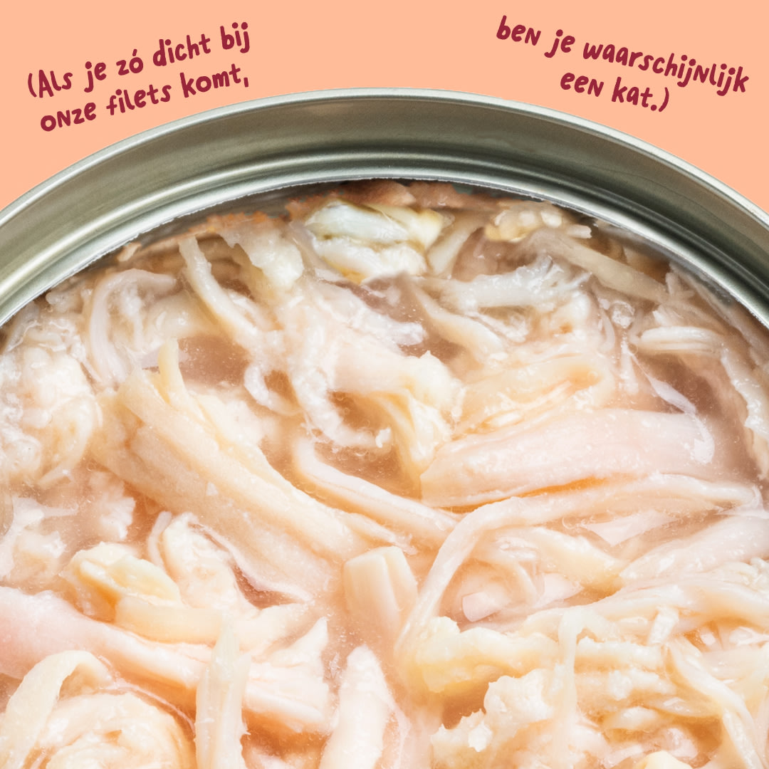 6 Cat-Fillets DTC NL ChickenNatural Texture