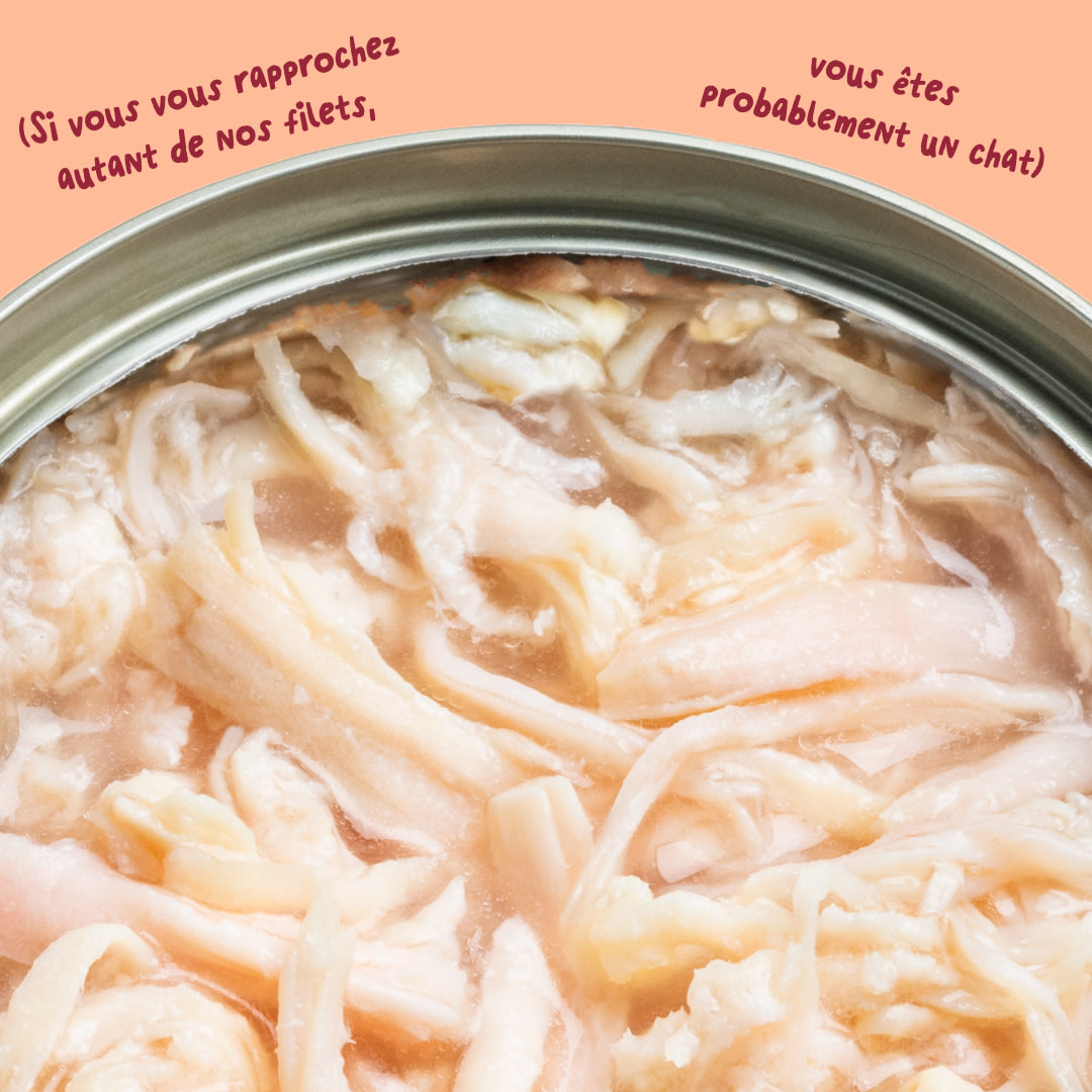 6 Cat-Fillets DTC FR ChickenNatural Texture