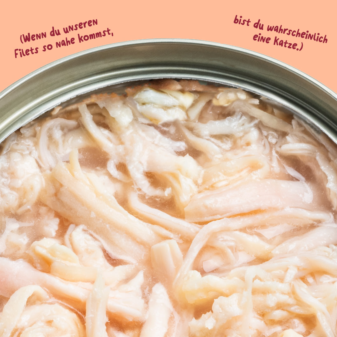 6 Cat-Fillets DTC DE ChickenNatural Texture