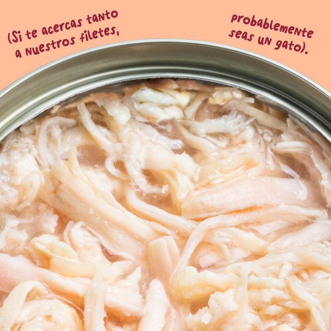 6 Cat-Fillets DTC ES ChickenNatural Texture