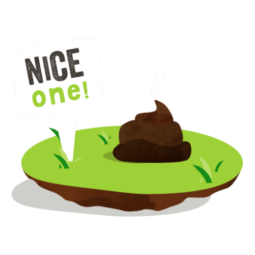 NiceOne EN