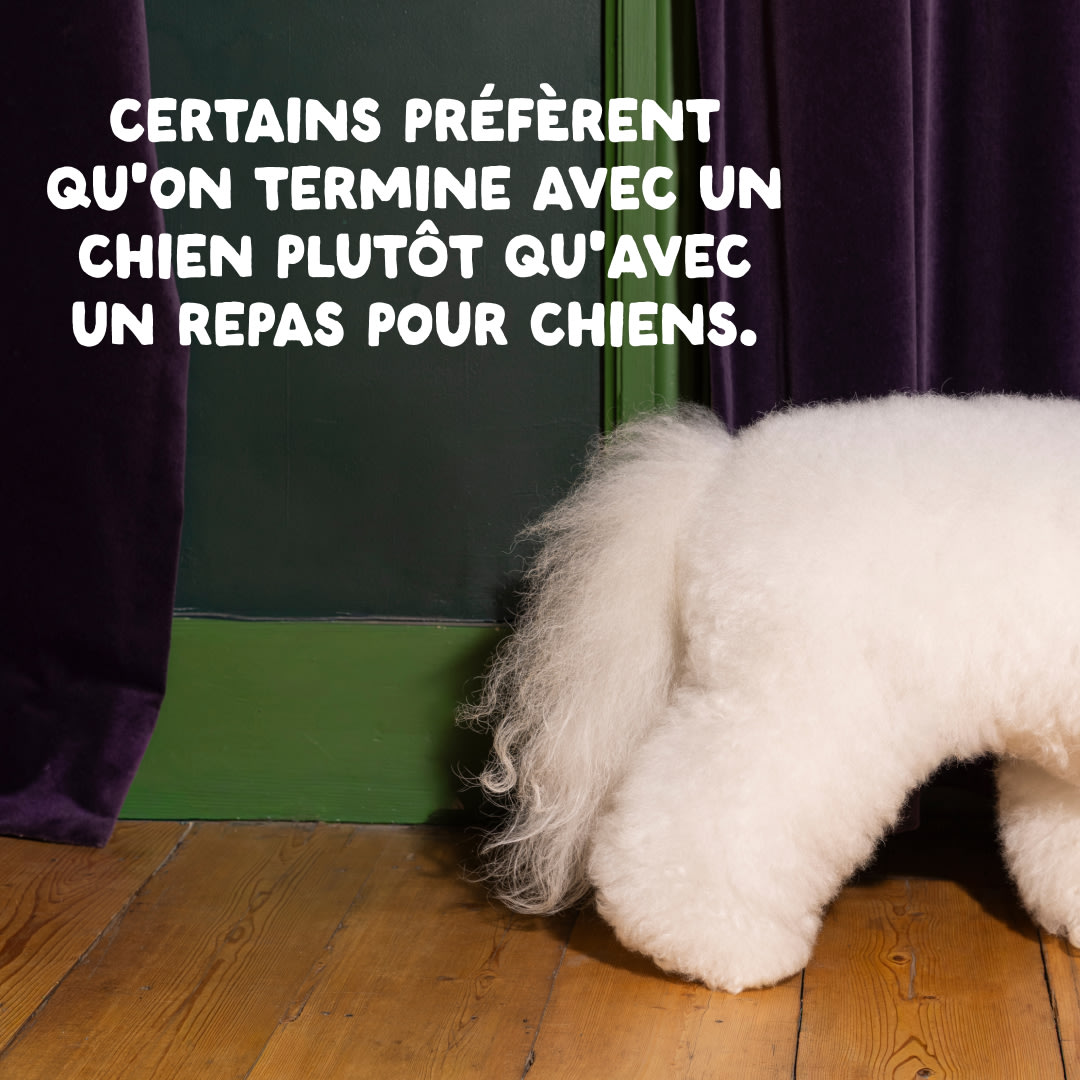 12 Dog-Refresh DTC-Assets FR Adult-Carrot CLOSE