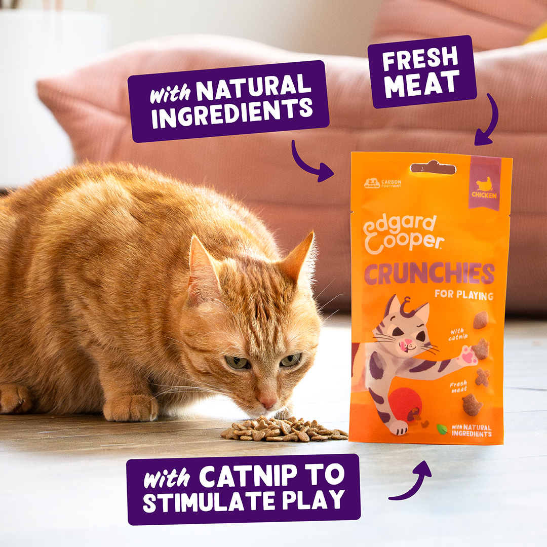 Ecomm Claims - Cat All Crunchies Chicken EN