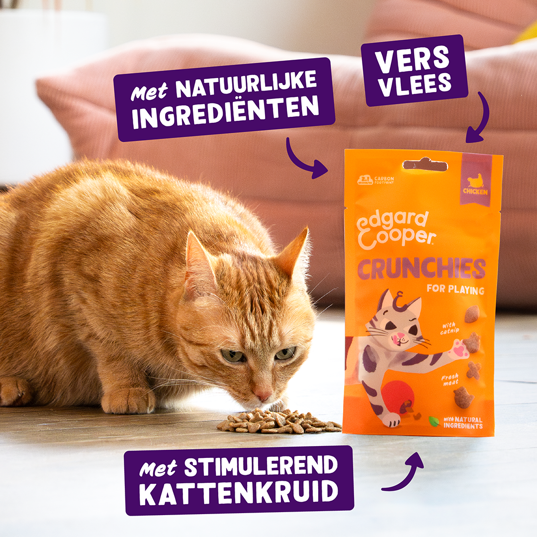 Ecomm Claims - Cat All Crunchies Chicken NL