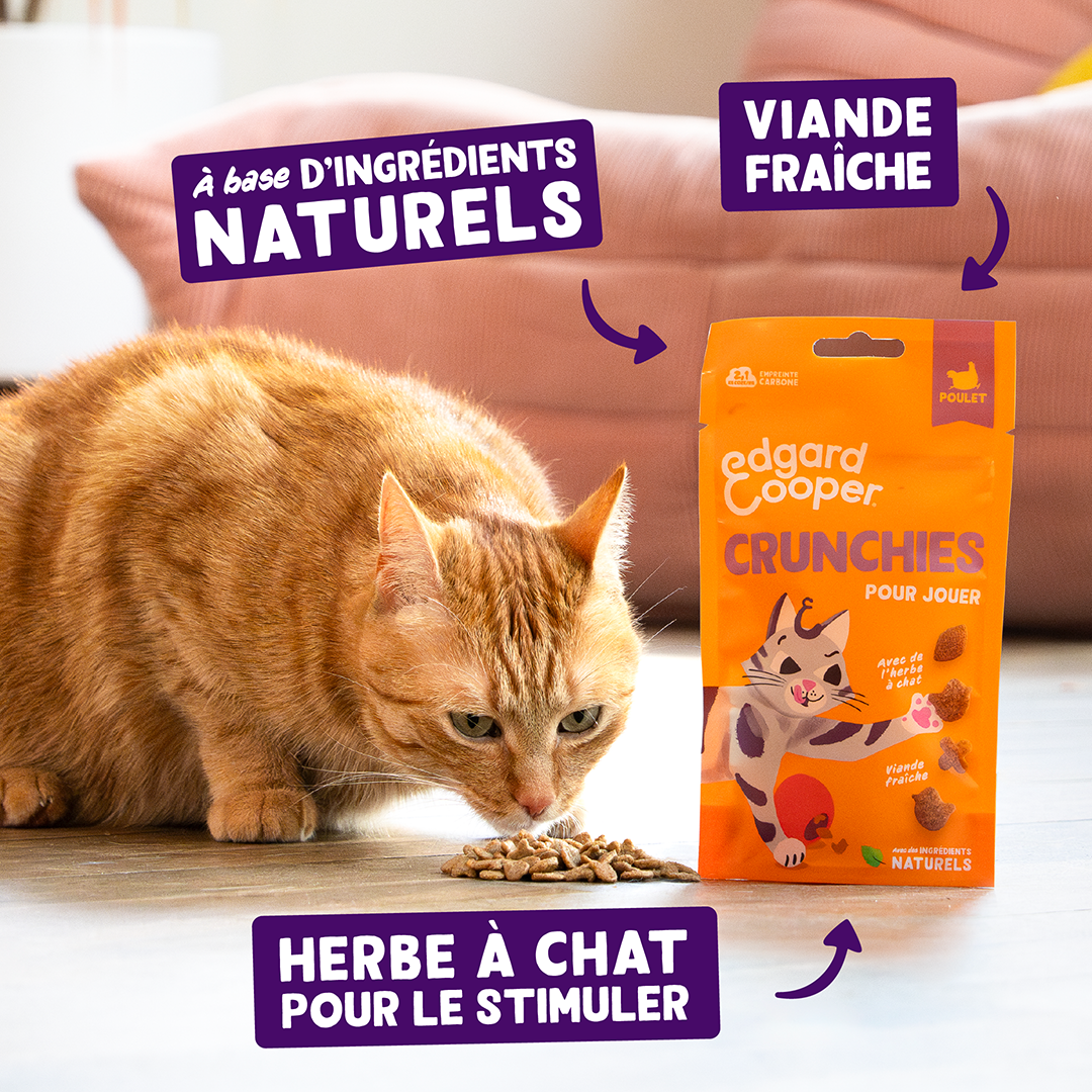 Ecomm Claims - Cat All Crunchies Chicken FR