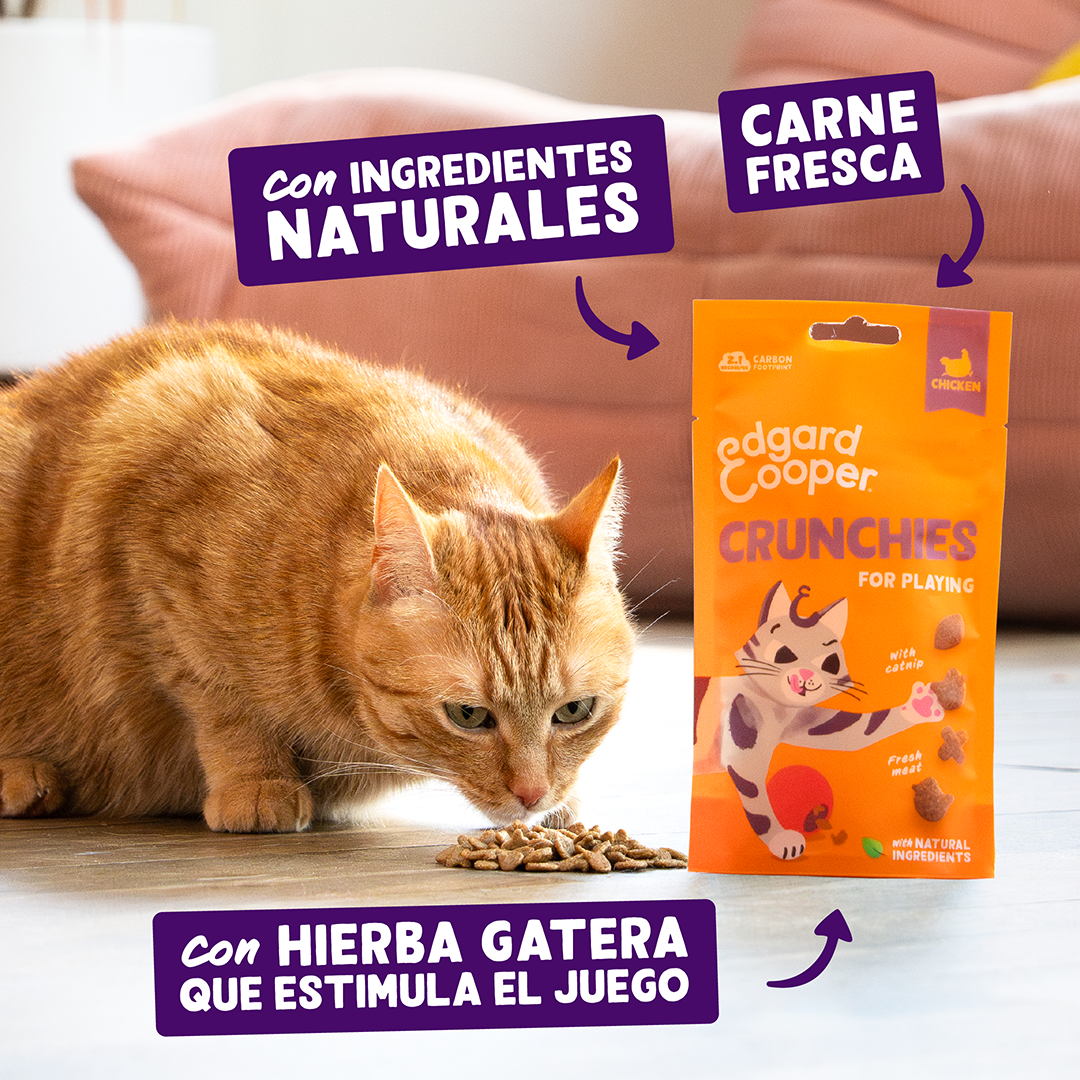 Ecomm Claims - Cat All Crunchies Chicken ES