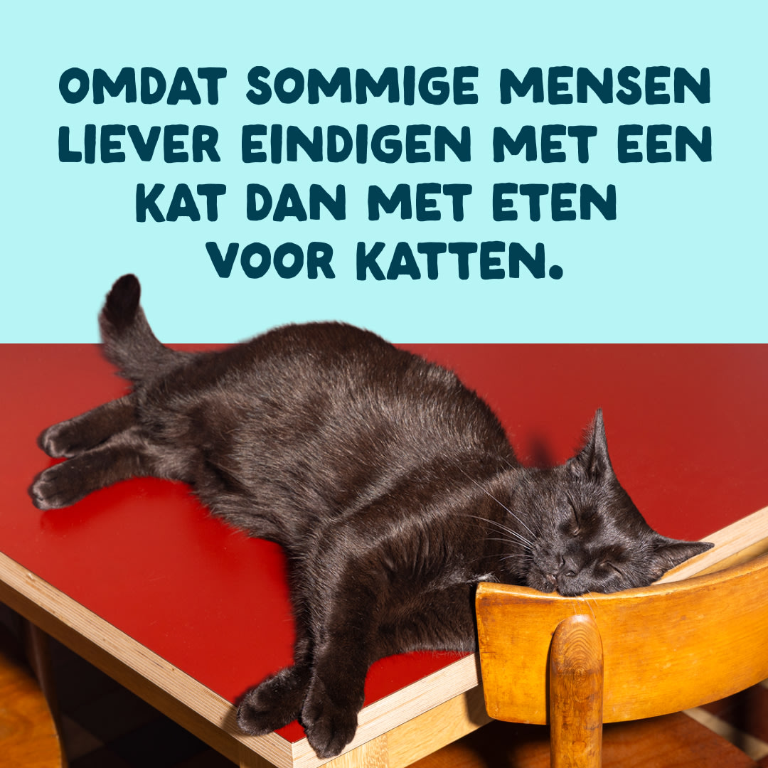 10 Cat-Fillets DTC NL TunaShrimp End