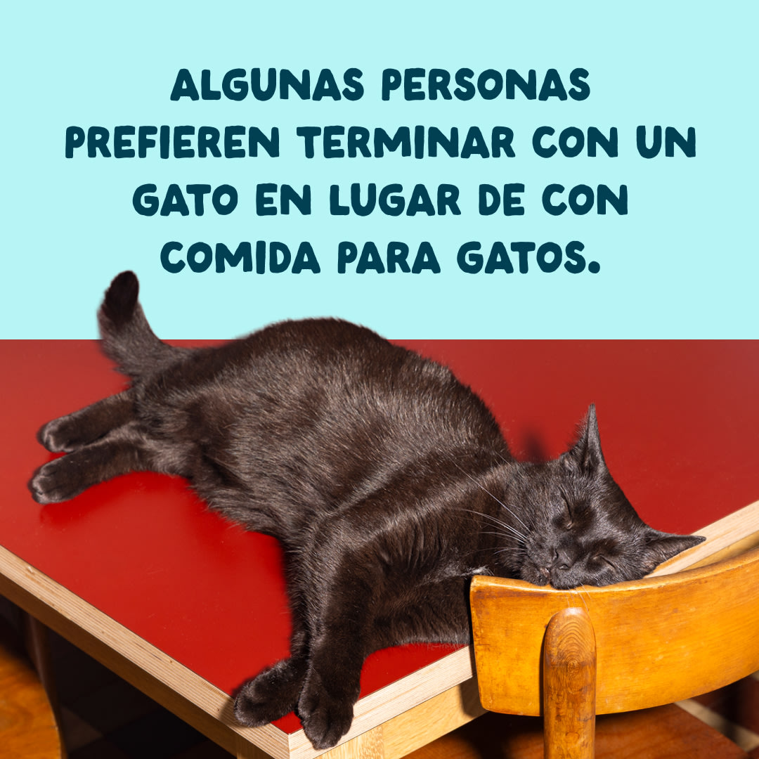 10 Cat-Fillets DTC ES TunaShrimp End