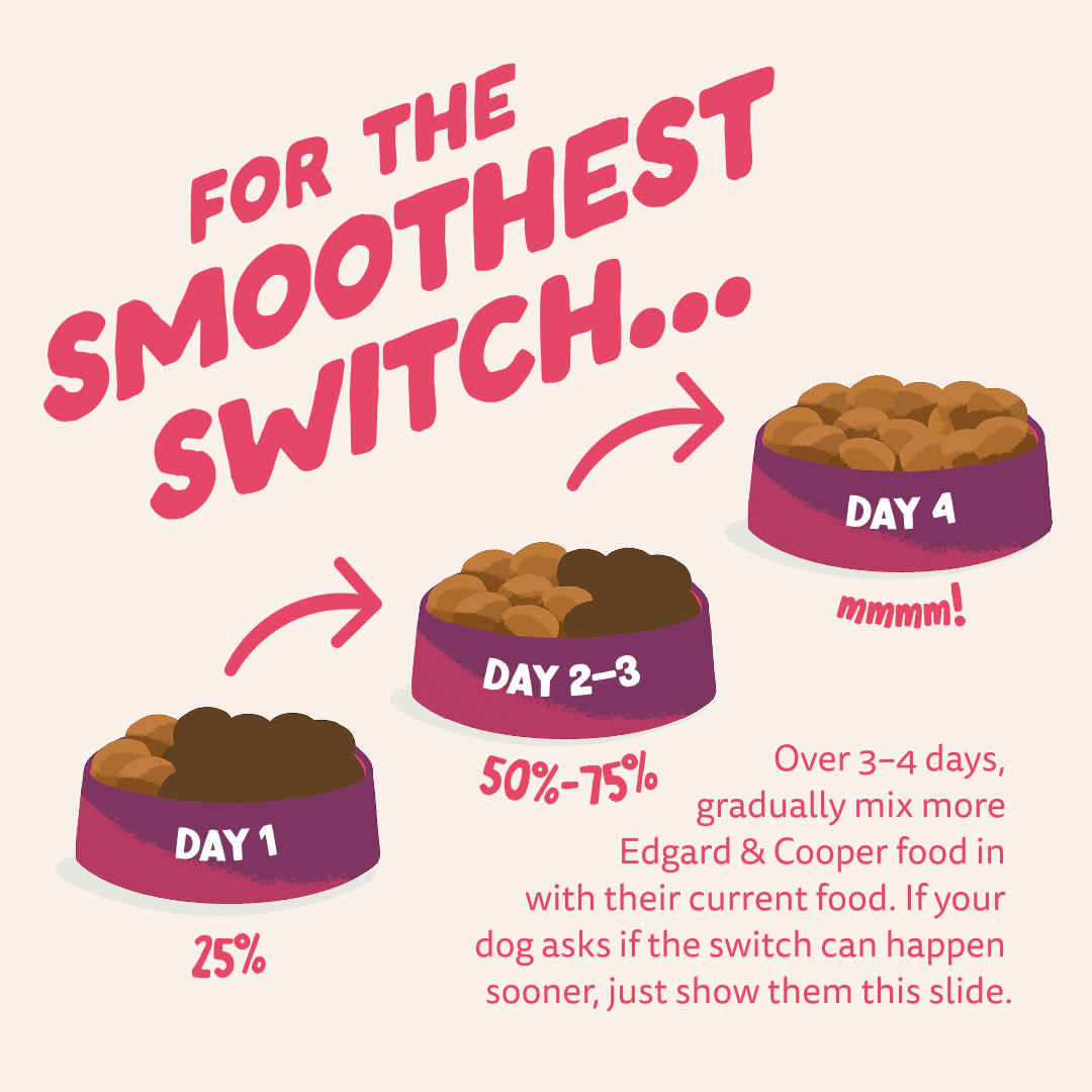 4 Dog-Refresh DTC-Assets EN Organic-Beef SWITCH
