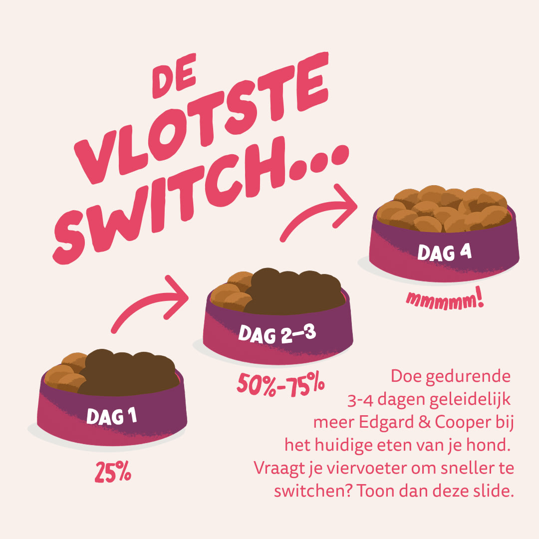4 Dog-Refresh DTC-Assets NL Adult-OrganicBeef SWITCH