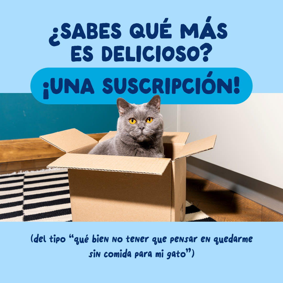 9 Cat-Fillets DTC ES TunaNatural Subscription