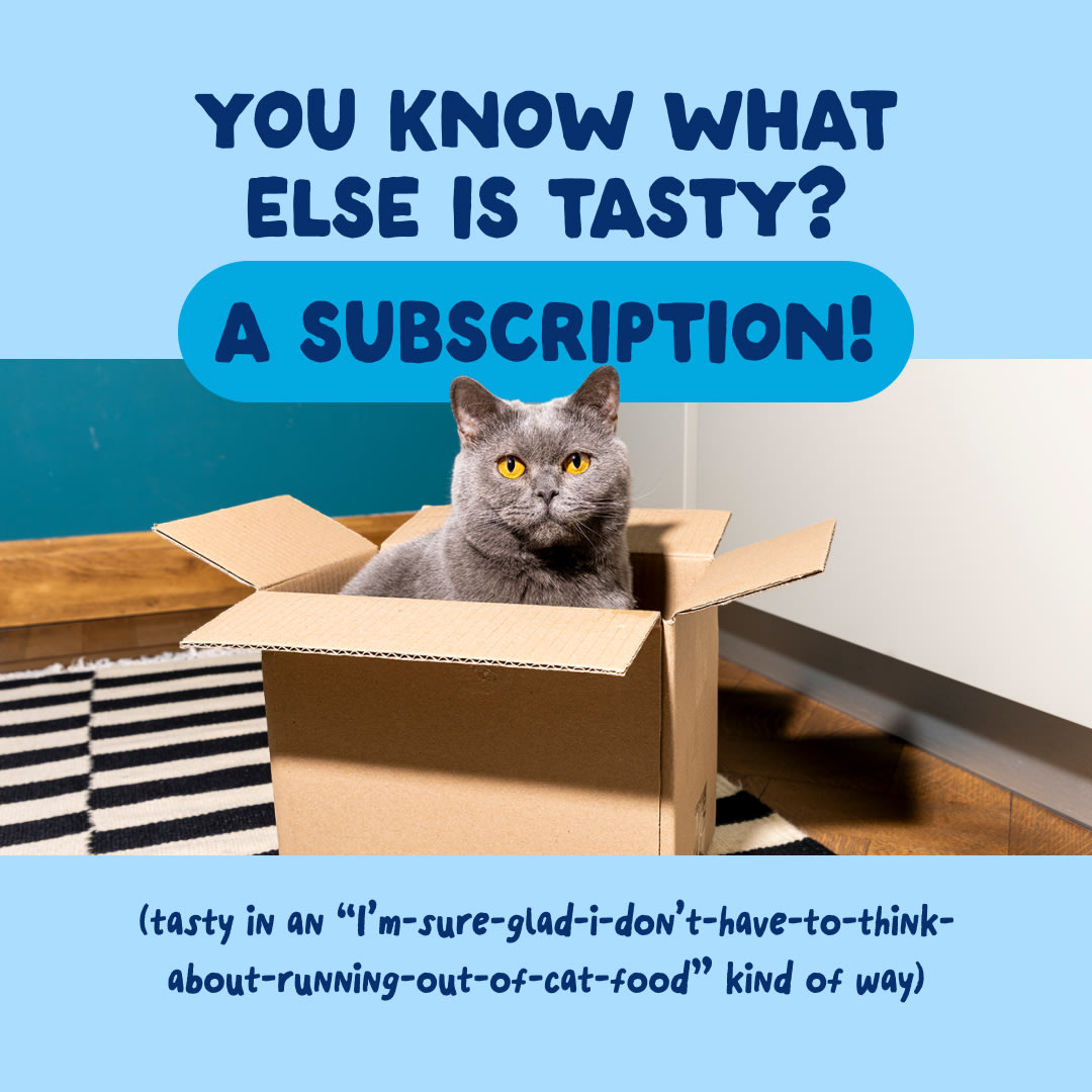 9 Cat-Fillets DTC EXP TunaNatural Subscription