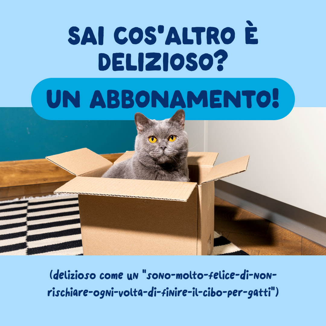 9 Cat-Fillets DTC IT TunaNatural Subscription
