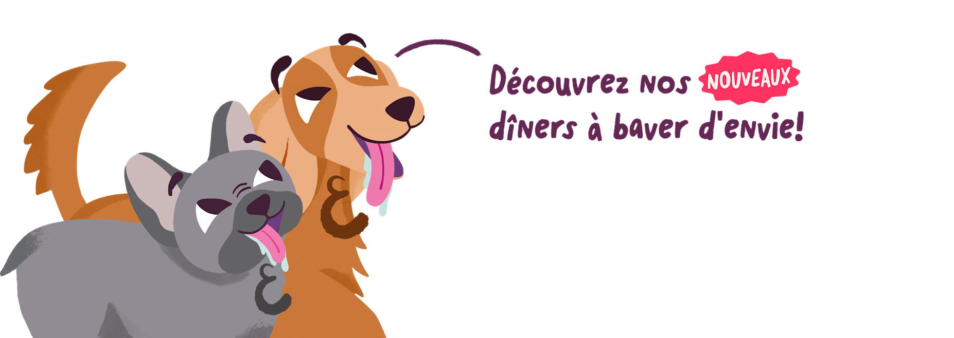 dwd-homepage-fr