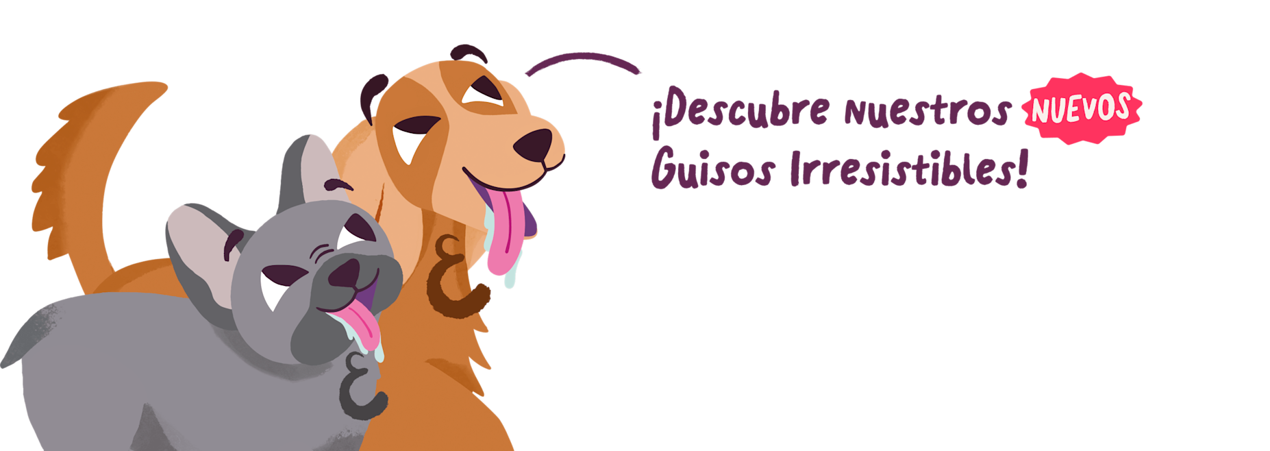dwd-homepage-es