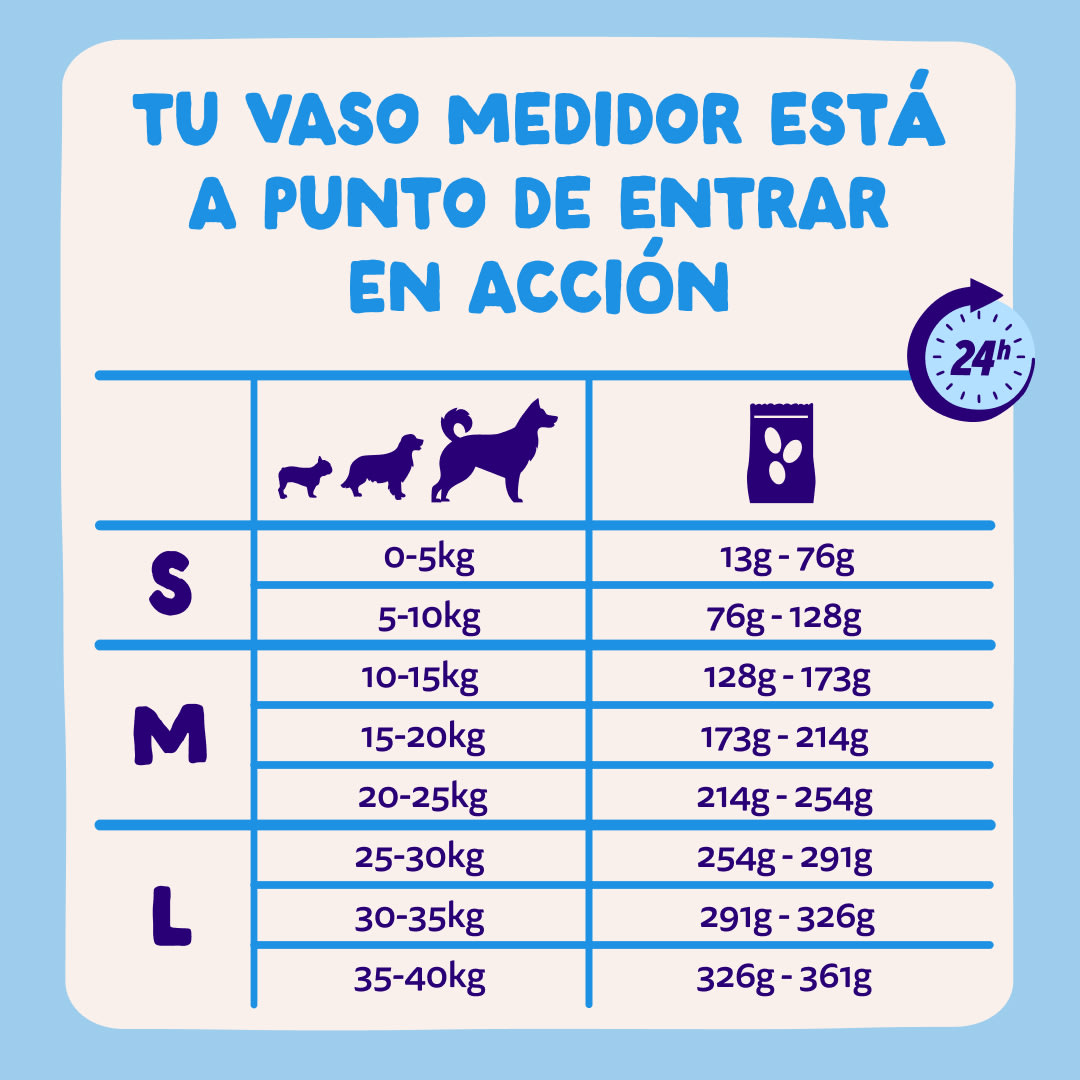 8 Dog-Refresh DTC-Assets ES Adult-Salmon FEEDING-GUIDELINE