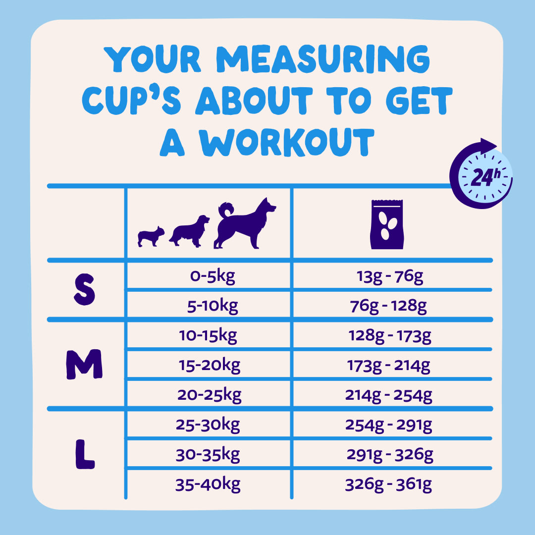8 Dog-Refresh DTC-Assets Adult-Salmon FEEDING-GUIDELINE&