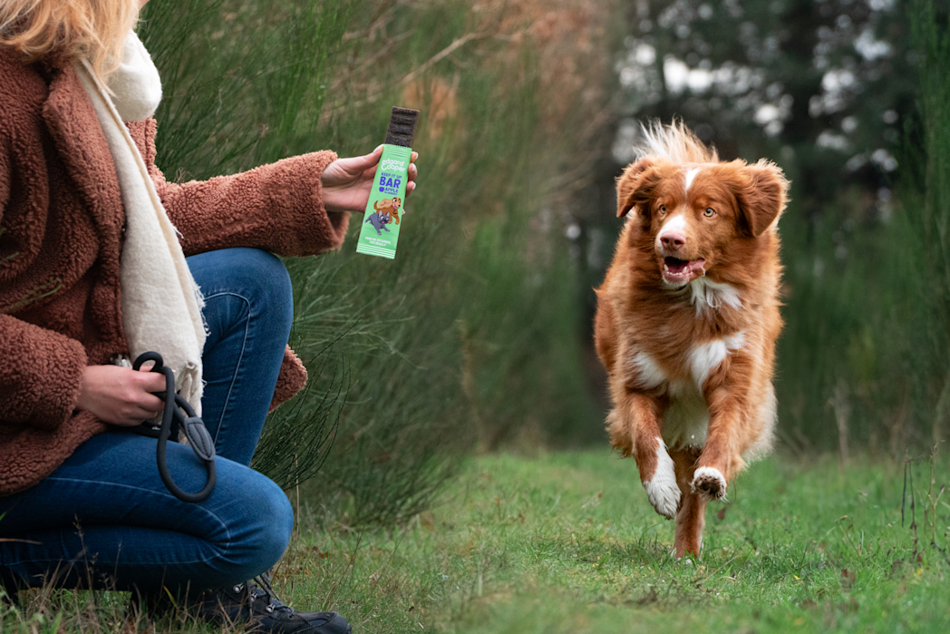 Lifestyle - Dog All Bar Apple Blueberry EN