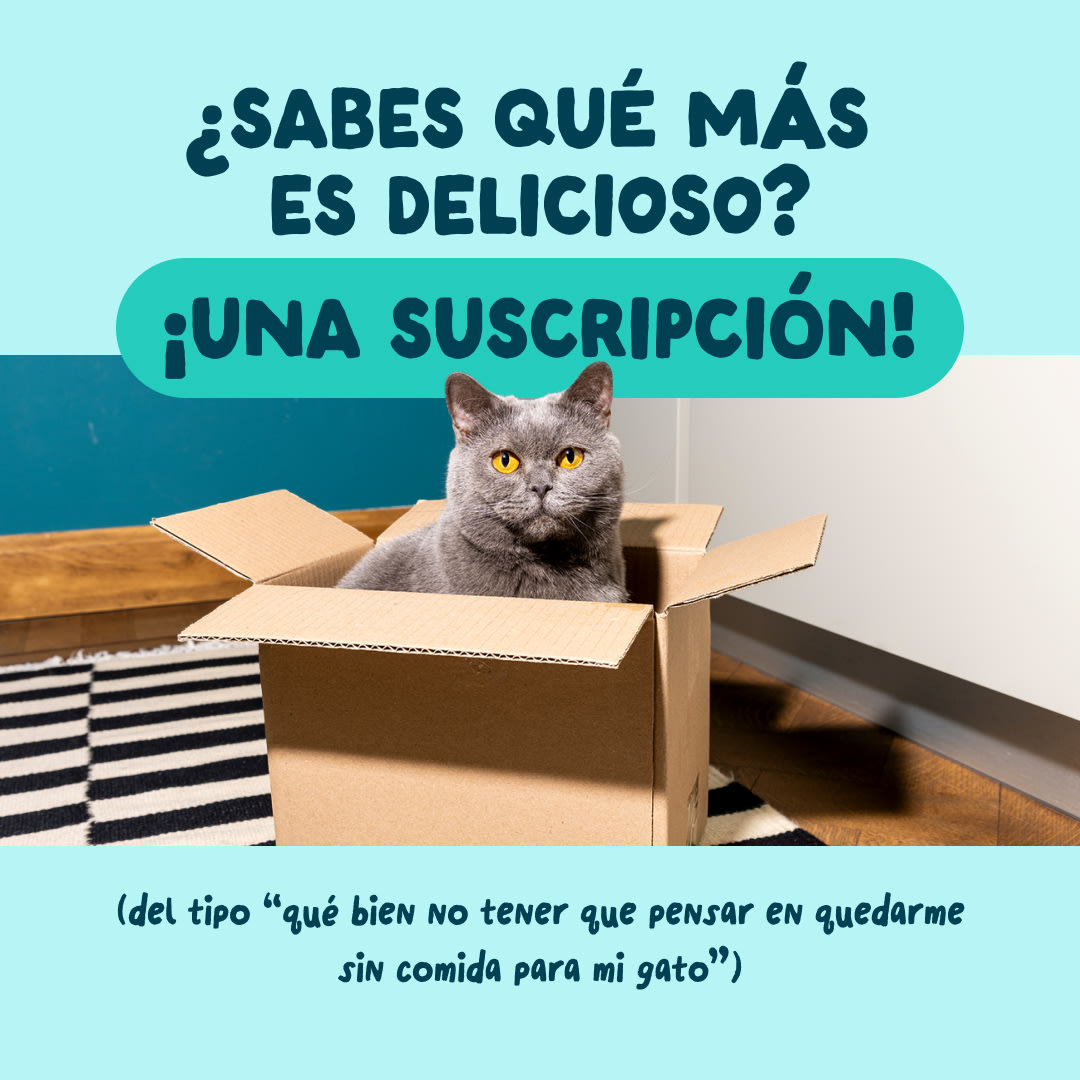9 Cat-Fillets DTC ES TunaShrimp Subscription