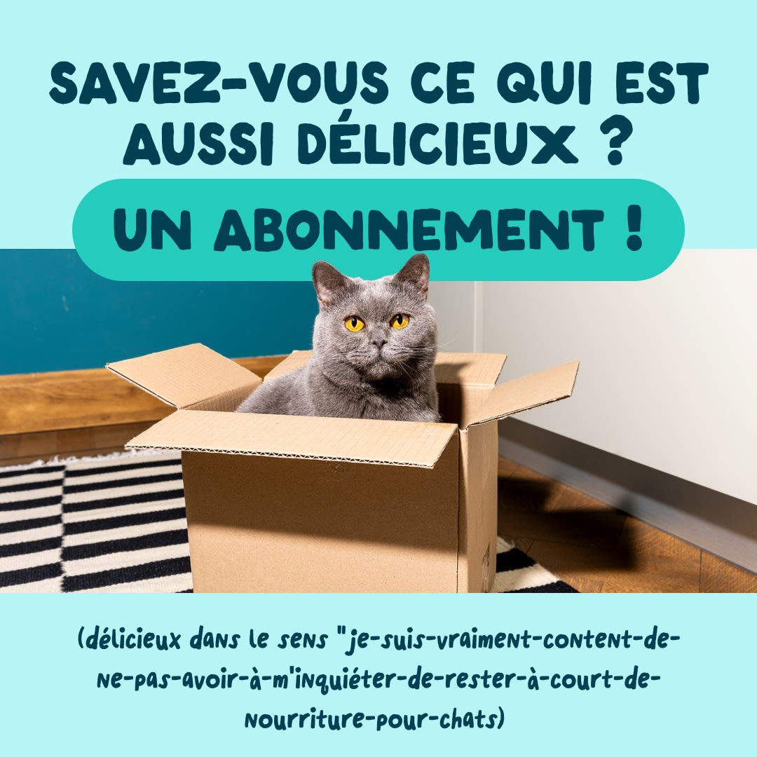 9 Cat-Fillets DTC FR TunaShrimp Subscription