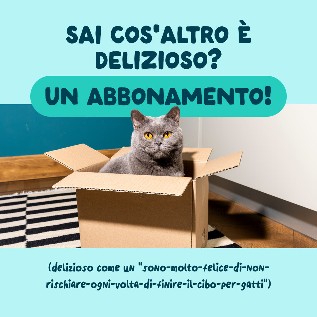 9 Cat-Fillets DTC IT TunaShrimp Subscription