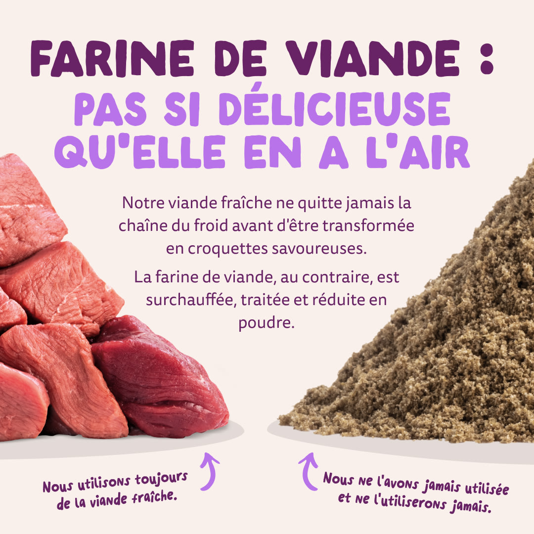 11 Dog-Refresh DTC-Assets FR Puppy-Salmon MEAT-VS-MEAT MEAL